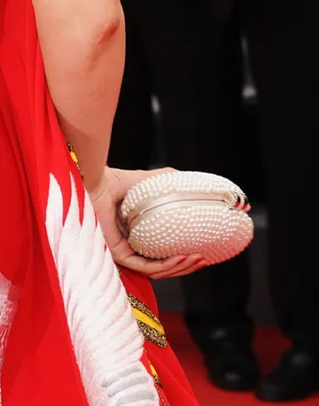 Thông điệp thời trang của Phạm Băng Băng tại LHP Cannes ảnh 3