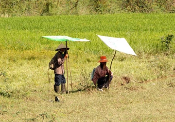 Thung lũng “trời đánh” bên sông La Ngà ảnh 2