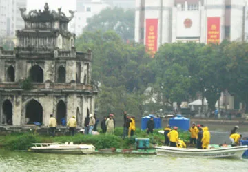 Rùa Hồ Gươm chưa thể lên bờ ảnh 1 Rùa Hồ Gươm chưa thể lên bờ ảnh 1