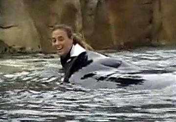 Số phận của con cá kình giết người ảnh 1