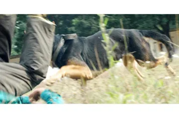 Vô cảm và cái ác ảnh 1 Vô cảm và cái ác ảnh 1