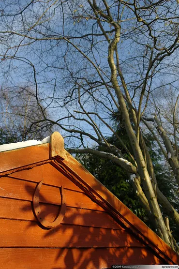 Ngắm ảnh chụp bằng DSLR của Samsung ảnh 11