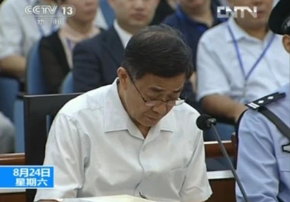 Bạc Hy Lai: "Tôi việc gì phải lo Qua Qua vất vả" ảnh 1