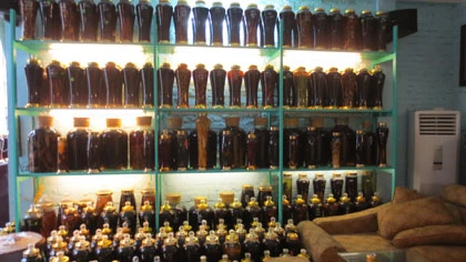 Rượu ngâm cây anh túc: Dùng lâu sẽ tê liệt thần kinh ảnh 1