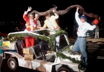 Người có mái tóc dài nhất Việt Nam qua đời ảnh 1