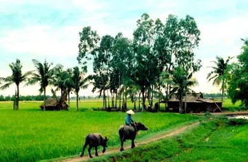 Giáp Văn Thạch và những giấc mơ ảnh 1 Giáp Văn Thạch và những giấc mơ ảnh 1