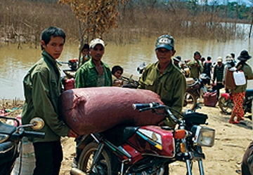 Ươi vào mùa, núi rừng náo động ảnh 1