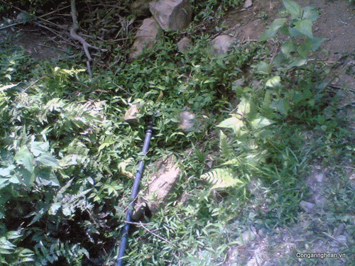 Nghiện game, học sinh lớp 9 giết bé gái 7 tuổi ảnh 1