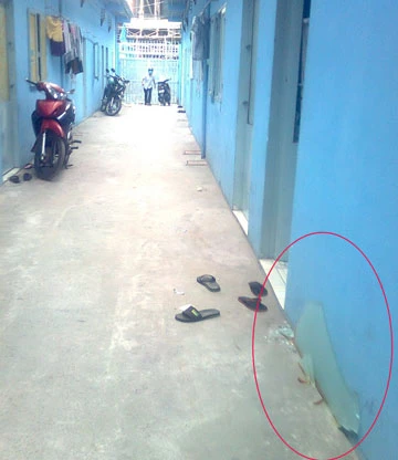 Vụ nghi chết vì bị dân phòng đánh: Nạn nhân có thể chết do bệnh lý ảnh 1