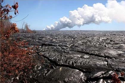 Bức ảnh "nụ hôn nóng nhất" thu hút trên Google+ ảnh 4