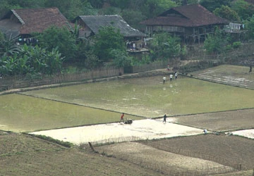 Có chia lại ruộng đất vào năm 2013? ảnh 1