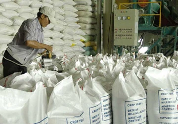 “Chạy nước rút” tranh suất xuất khẩu gạo ảnh 1