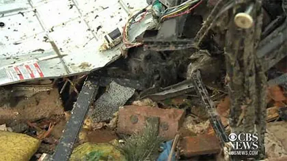 Lốc xoáy Okalahoma: Chú chó không chịu rời thi thể chủ ảnh 2