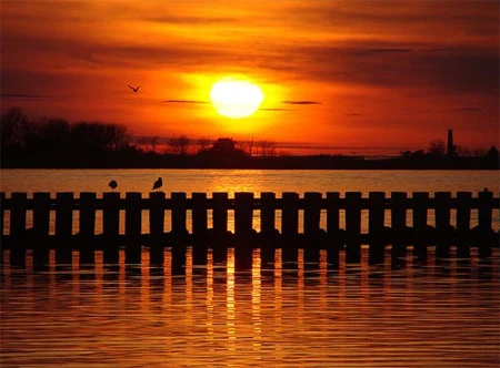 6 bước chụp ảnh ngược sáng silhouette ảnh 15