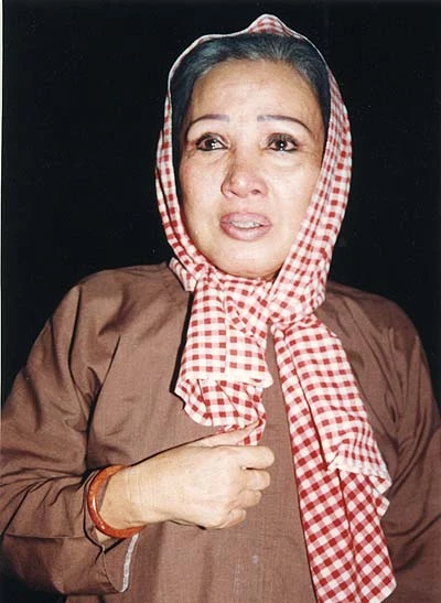 Nghệ sĩ Hồng Nga chưa được NSƯT (!) ảnh 2