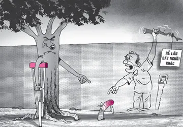 Đòi bồi thường cây mít chết ảnh 1 Đòi bồi thường cây mít chết ảnh 1