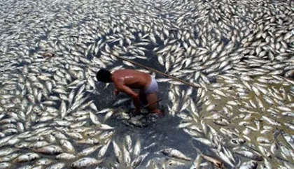 Thực tế hãi hùng ở các làng ung thư Trung Quốc ảnh 8