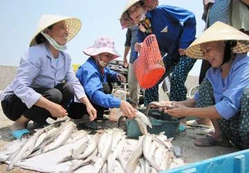 Những “thân vẹt” trước biển ảnh 2 Những “thân vẹt” trước biển ảnh 2