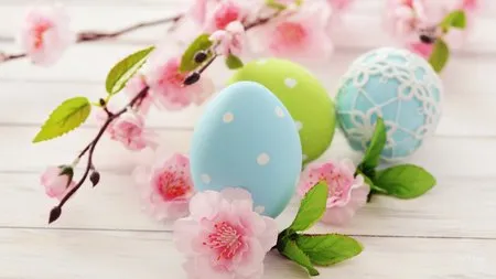 Đẹp ngỡ ngàng bộ sưu tập hình nền “mùa xuân” ảnh 8