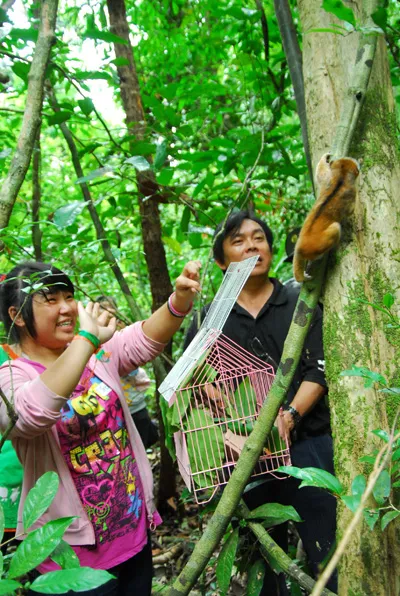 Thả thú hoang dã về rừng ảnh 2 Thả thú hoang dã về rừng ảnh 2