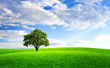 Đẹp ngỡ ngàng bộ sưu tập hình nền “mùa xuân” ảnh 10