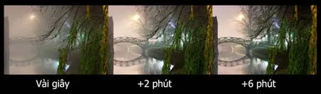 Chụp ảnh trong sương mù ảnh 5