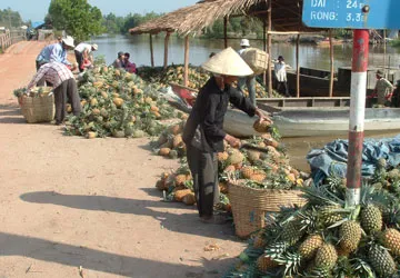 Thương lái Trung Quốc: Trước dễ dãi, sau lật lọng! ảnh 1 Thương lái Trung Quốc: Trước dễ dãi, sau lật lọng! ảnh 1