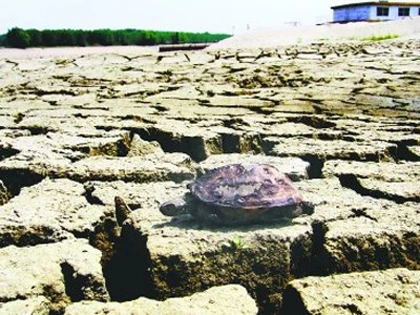 Ác mộng đập Tam Hiệp đã trở nên nghiêm trọng ảnh 2