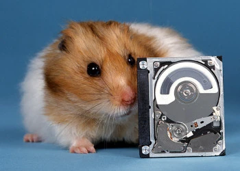 Những định dạng lưu trữ dữ liệu lạ ảnh 2