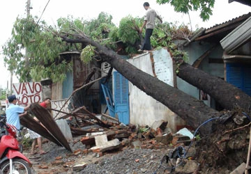 Mệt nhoài khắc phục hậu quả bão ảnh 1