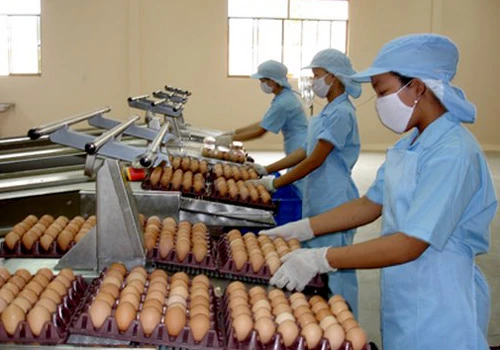 Ba Huân: Doanh nhân dám thừa nhận thiếu tri thức ảnh 2