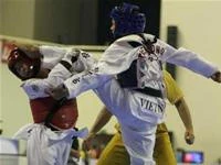 Hạ và taekwondo ảnh 3 Hạ và taekwondo ảnh 3