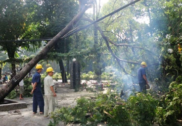 Mệt nhoài khắc phục hậu quả bão ảnh 4