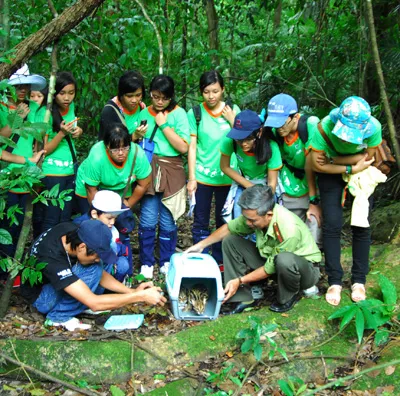 Thả thú hoang dã về rừng ảnh 1 Thả thú hoang dã về rừng ảnh 1