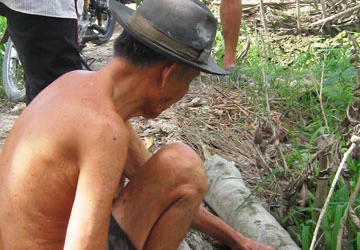 Sự thật về đứa trẻ bị “quỷ nhập” chém cây “chảy máu” ảnh 1 Sự thật về đứa trẻ bị “quỷ nhập” chém cây “chảy máu” ảnh 1