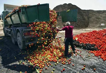 Giá đậu là nguồn vi khuẩn tả ảnh 1