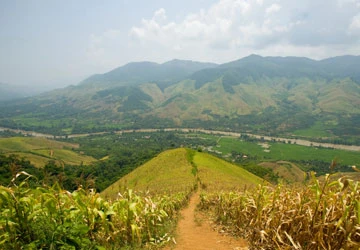 Pờ Sảo Mìn: “Người con trai Pa Dí” ảnh 1