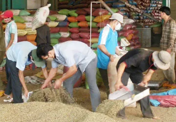 Thu phí xuất khẩu cà phê: Doanh nghiệp chưa thông ảnh 1 Thu phí xuất khẩu cà phê: Doanh nghiệp chưa thông ảnh 1