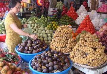 Nghịch lý trái cây miền Tây - Bài 1: Điệp khúc “trồng, chặt” ảnh 2 Nghịch lý trái cây miền Tây - Bài 1: Điệp khúc “trồng, chặt” ảnh 2