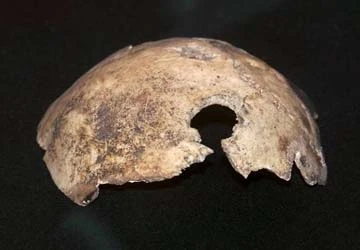 Hé lộ vụ hỏa thiêu di cốt Hitler ảnh 2