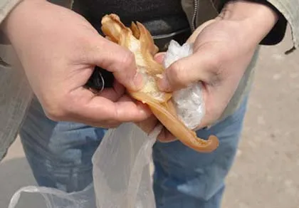 Trung Quốc phát hiện tai lợn luộc giả làm bằng chất gây ung thư ảnh 1