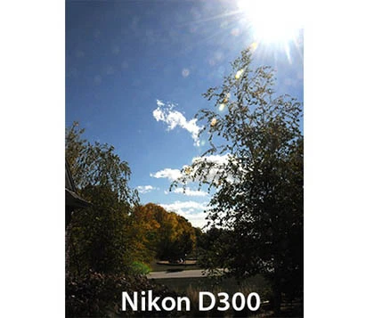 iPhone 5 dính thêm lỗi chụp ảnh có ánh tím ảnh 4