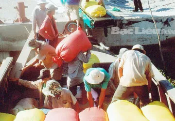 Giá gạo xuất khẩu tăng trở lại ảnh 1 Giá gạo xuất khẩu tăng trở lại ảnh 1