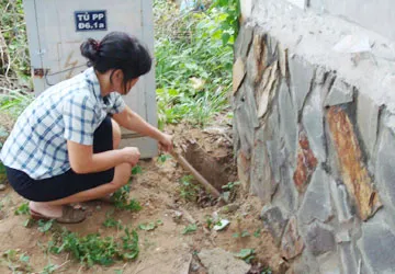 Bị cúp điện, nước do lỗi… ngân hàng ảnh 1