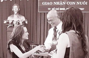 Hội đồng tư vấn sẽ giới thiệu con nuôi nước ngoài ảnh 1