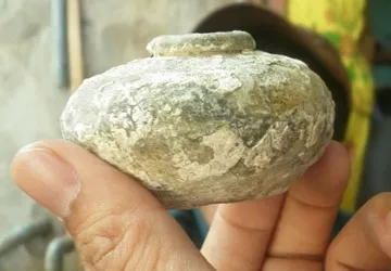 Trục vớt cổ vật, coi chừng bị tội ảnh 2 Trục vớt cổ vật, coi chừng bị tội ảnh 2