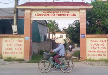 Nạn trộm chó và những chuyện đau lòng: Xử nghiêm kẻ trộm và người quá khích ảnh 1