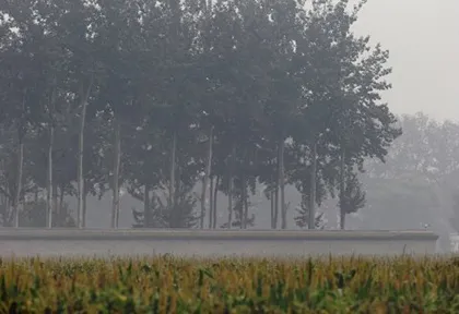 Bạc Hy Lai "ở nhà tù hạng nhất" Trung Quốc ảnh 3