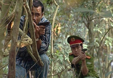 Cuồng phong trên sóng VTV ảnh 1