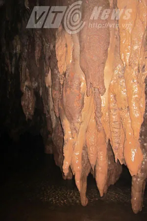 Kỳ 5: Hành trình xâm nhập lãnh địa của loài trăn ở Sơn La ảnh 2